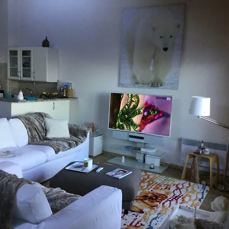 Apartment L'ours Blanc *