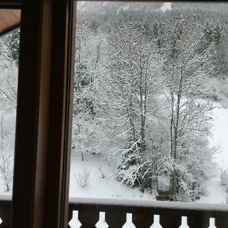 L'ours Blanc Apartment *
