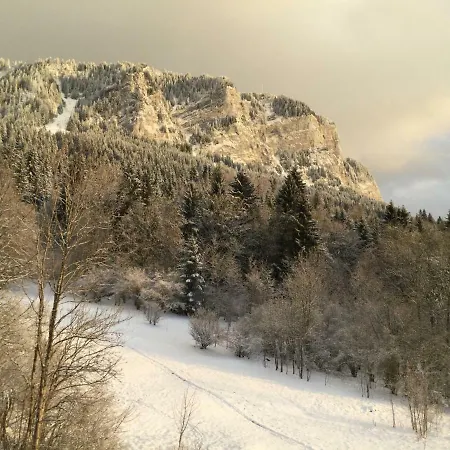 L'ours Blanc Apartment Thollon-les-Memises