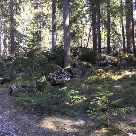 L'ours Blanc Thollon-les-Memises