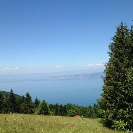 L'ours Blanc Thollon-les-Memises